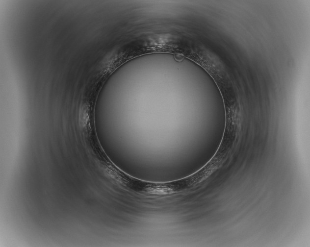 X0000116620754200912111156