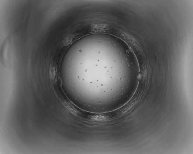 X0000116620759200912111156
