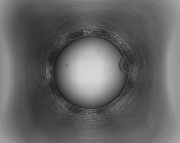 X0000116620770200912111155