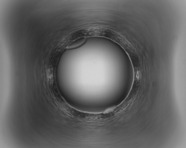 X0000116620771200912111155