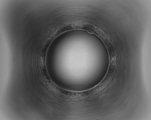 X0000116620772200912111155