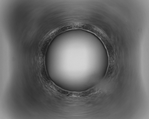 X0000116620773200912111155