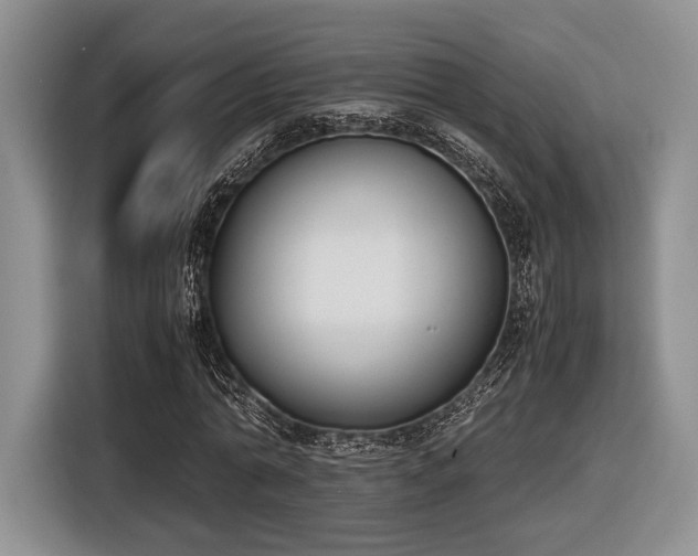 X0000116620774200912111155