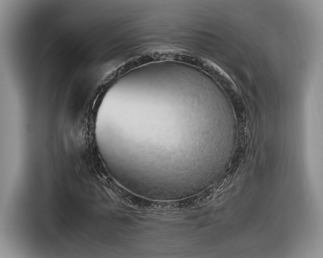 X0000116620775200912111155