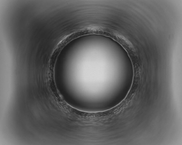 X0000116620776200912111155