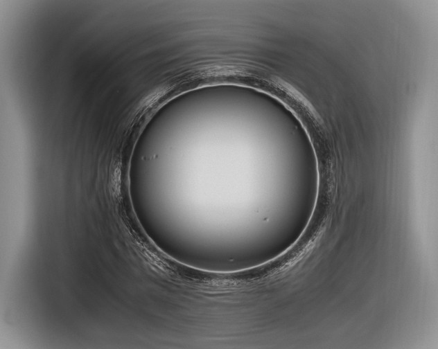X0000116620777200912111155