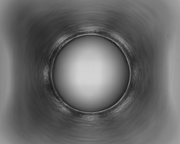 X0000116620778200912111155