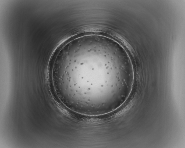X0000116620779200912111155