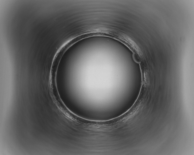 X0000116620780200912111155