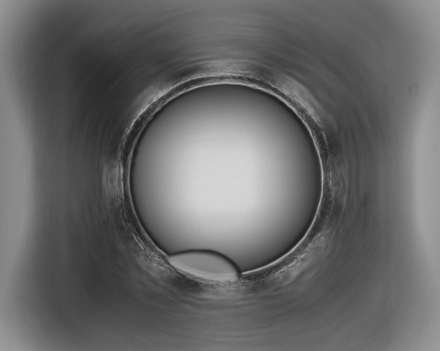 X0000116620781200912111155