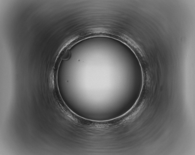 X0000116620782200912111155