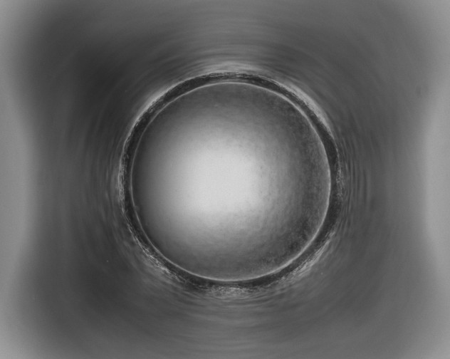 X0000116620783200912111155