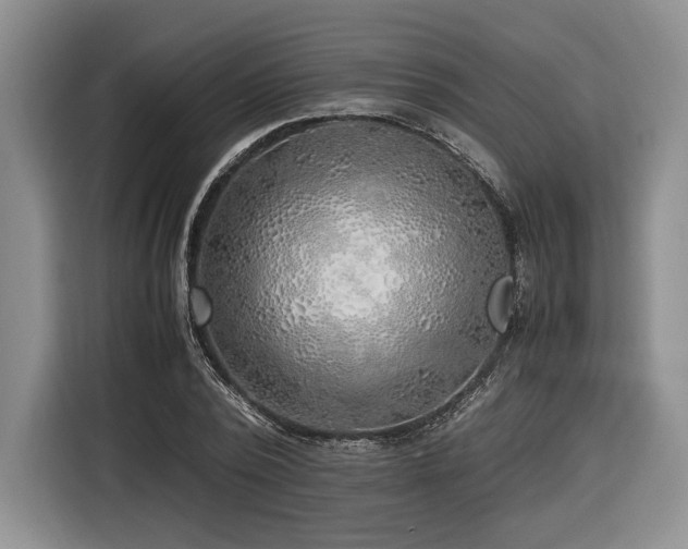 X0000116620784200912111155