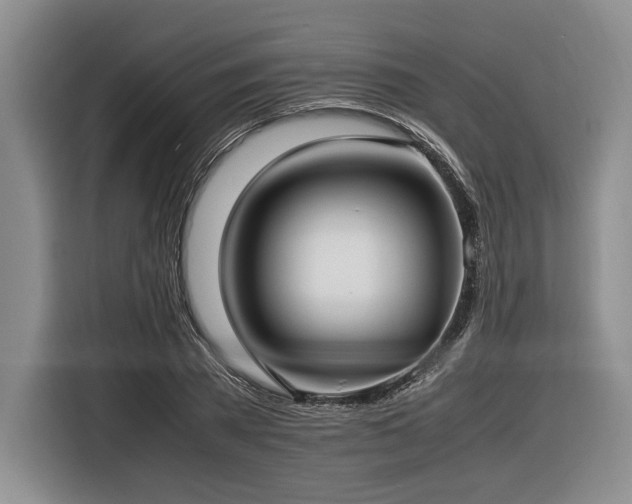X0000116620785200912111155