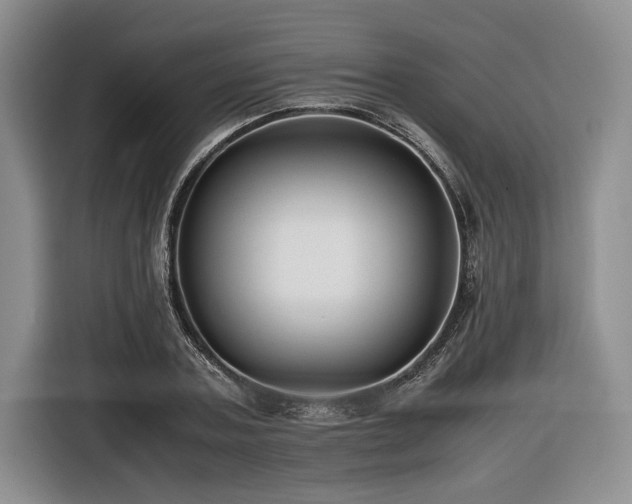 X0000116620787200912111155