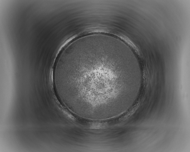 X0000116620790200912111155