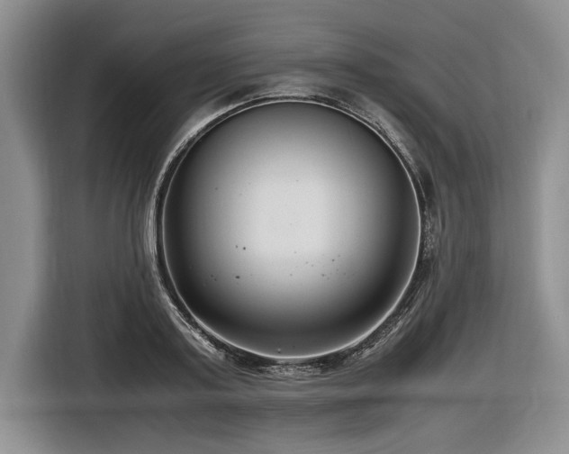 X0000116620795200912111155