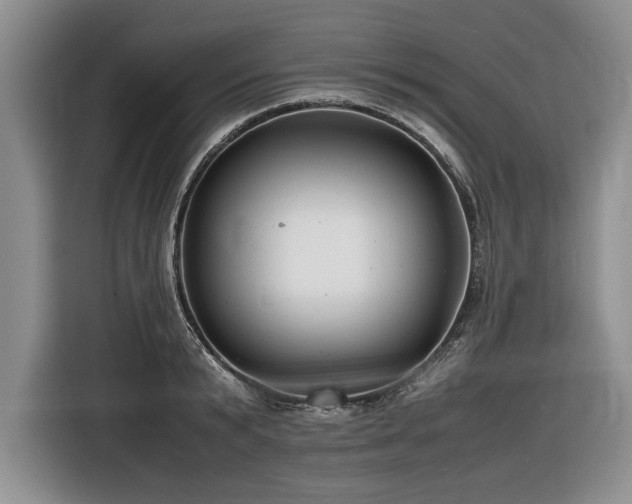 X0000116620799200912111155