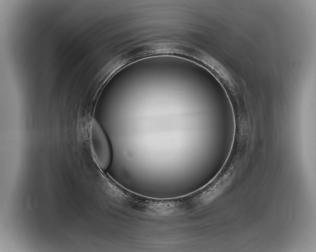 X0000116620801200912111155