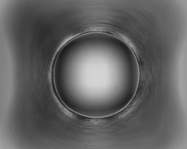 X0000116620803200912111155