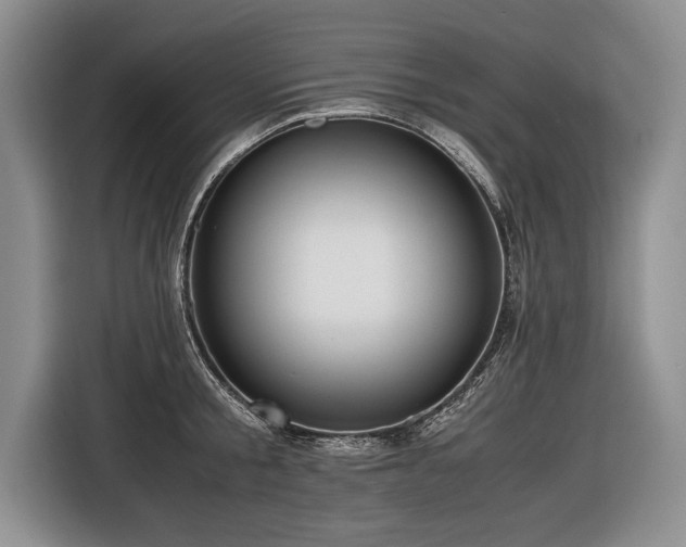 X0000116620805200912111155