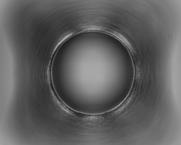 X0000116620806200912111155