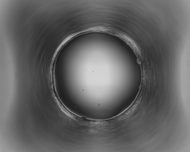 X0000116620808200912111155