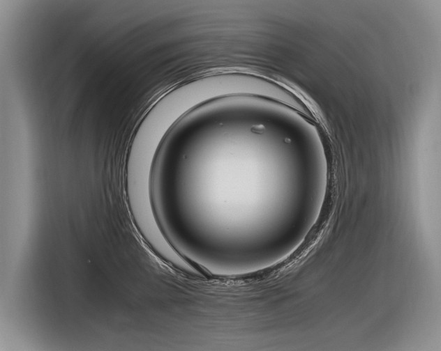 X0000116620809200912111155