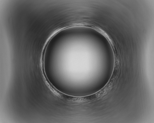 X0000116620811200912111155