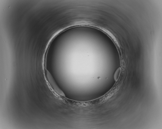 X0000116620815200912111155