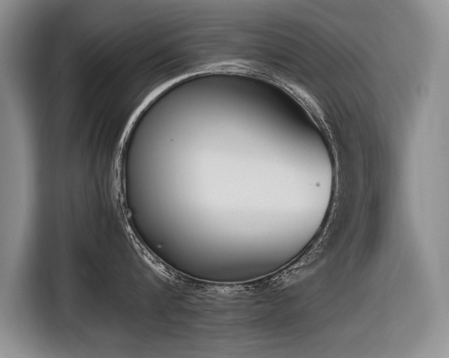 X0000116620816200912111155