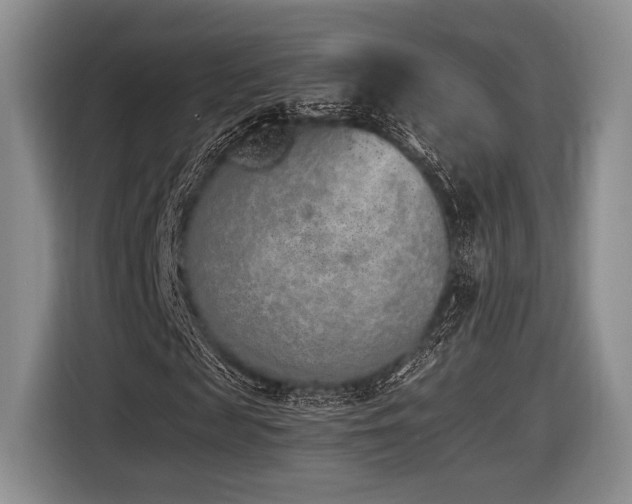 X0000116620817200912111154