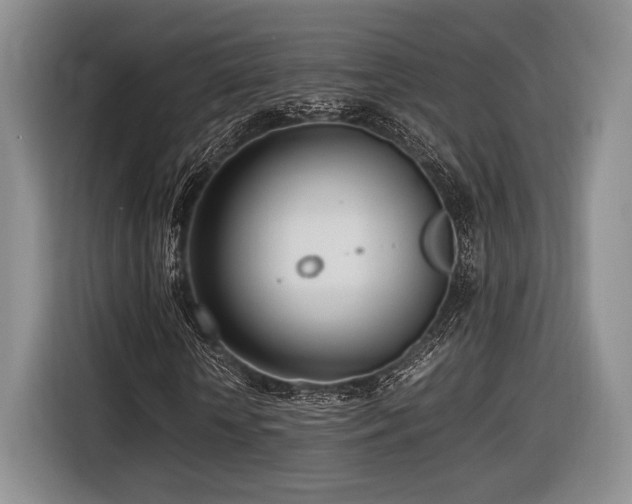 X0000116620818200912111154