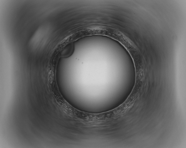 X0000116620821200912111154