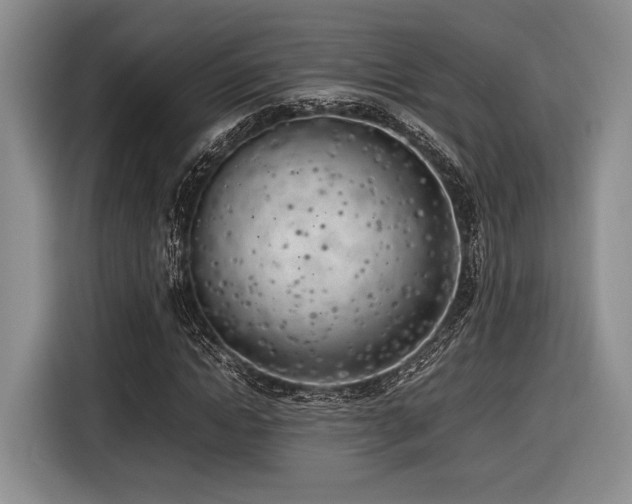 X0000116620822200912111154