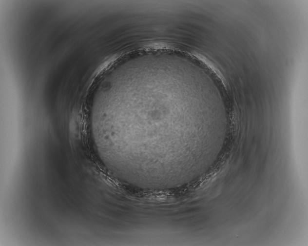 X0000116620823200912111154