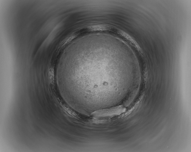 X0000116620825200912111154