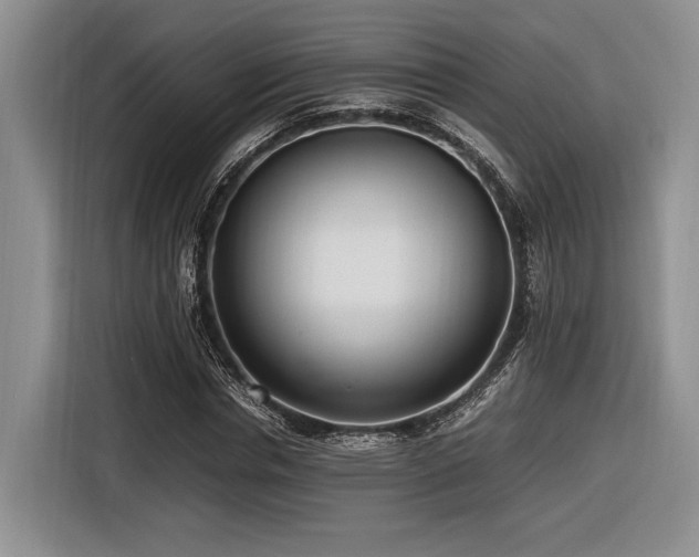 X0000116620826200912111154