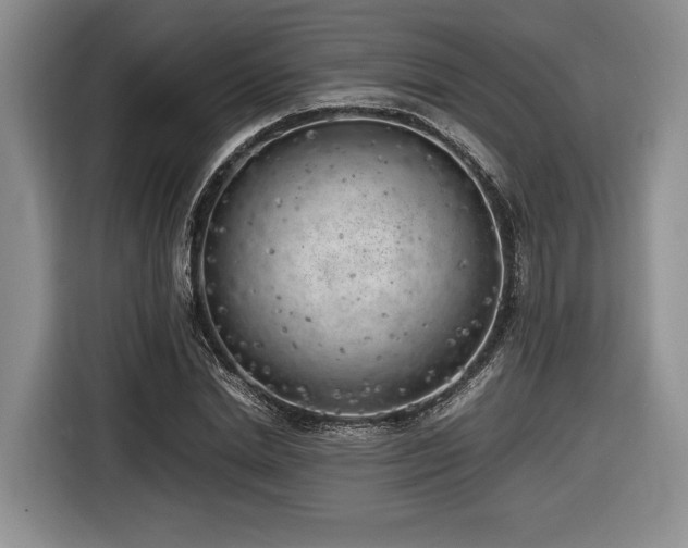 X0000116620830200912111154