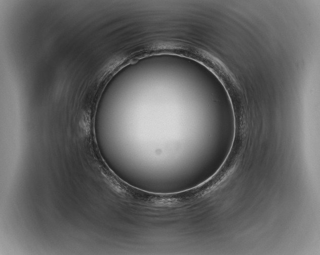 X0000116620833200912111154