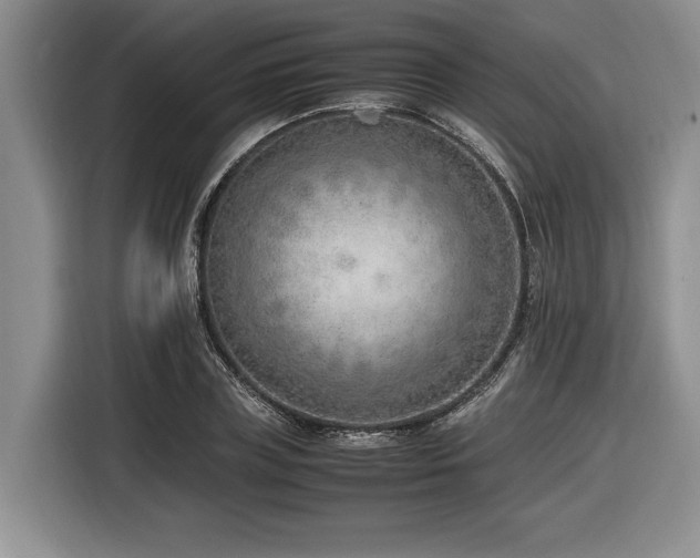 X0000116620835200912111154