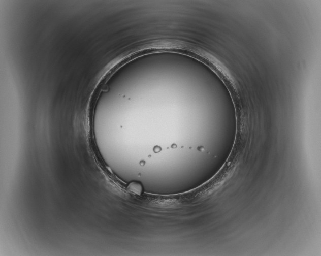 X0000116620837200912111154