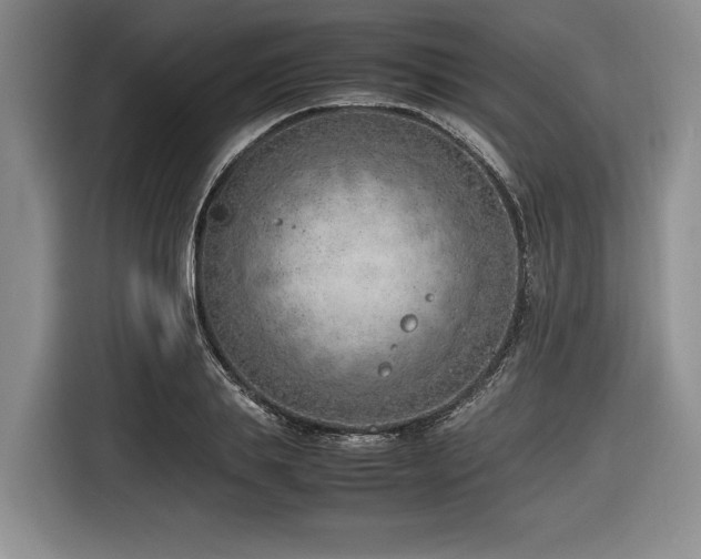 X0000116620839200912111154