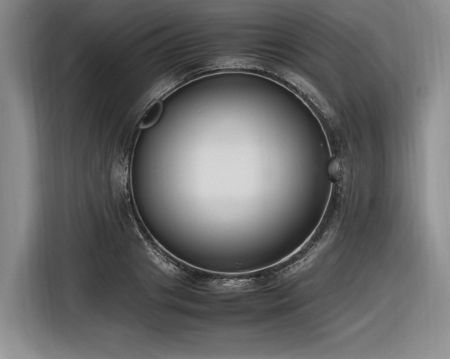 X0000116620841200912111155
