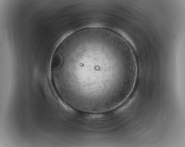 X0000116620845200912111155