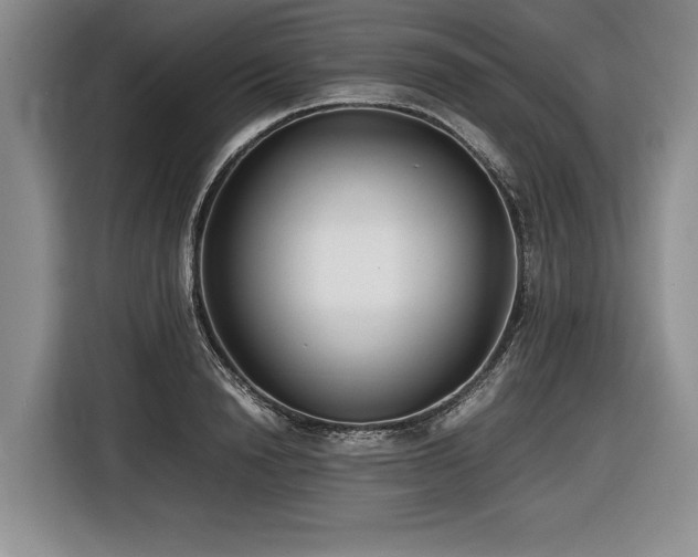 X0000116620846200912111155