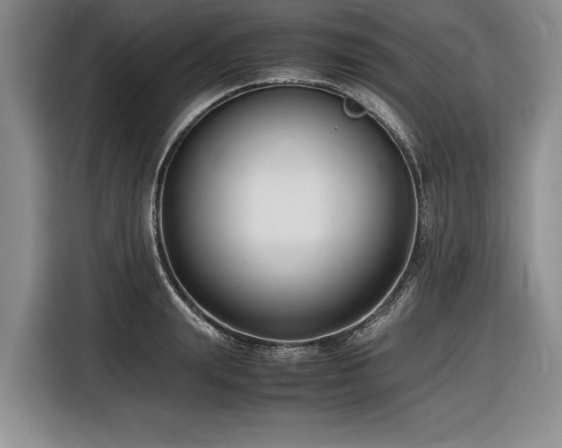 X0000116620847200912111155
