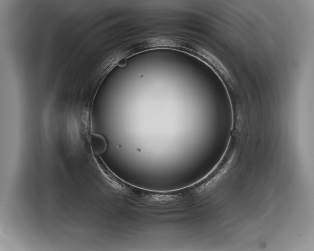 X0000116620849200912111155