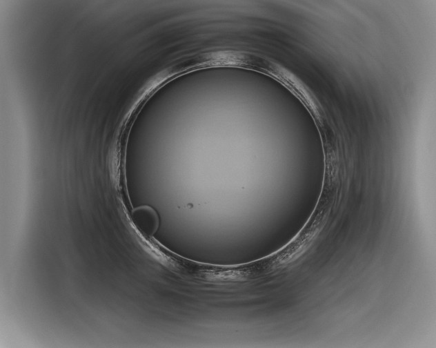 X0000116620851200912111155