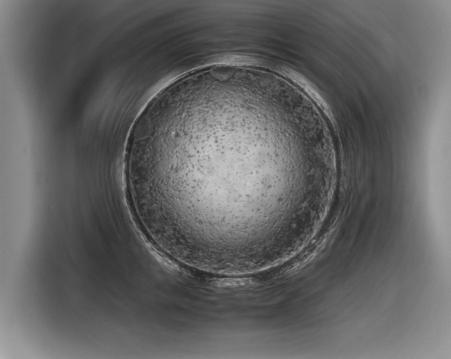 X0000116620853200912111155